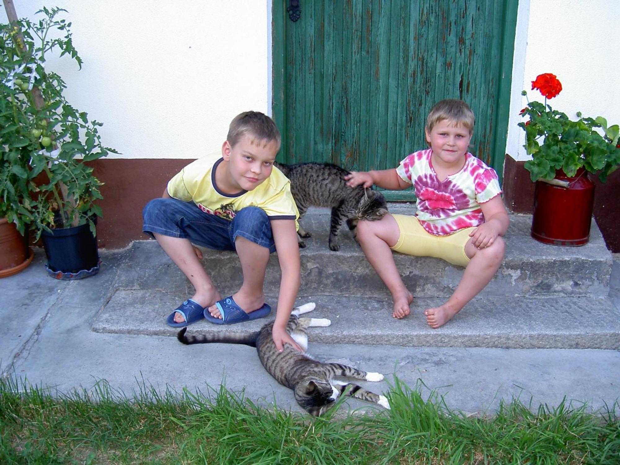 Villa Urlaub am Bauernhof Wenigeder - Familie Klopf Gutau Exterior foto